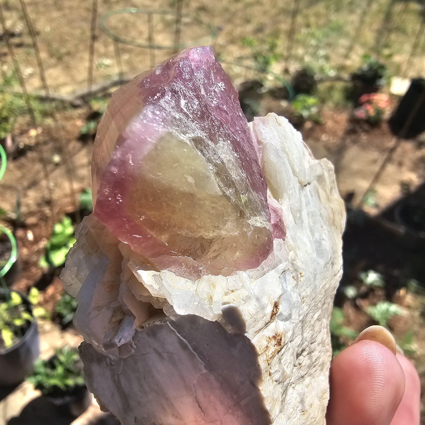 Himilaya Pink and Green Tourmaline, Himalaya Mine in California, w Lustrous Microline Feldspar & Cleavandite, Source Traced 90s Material
