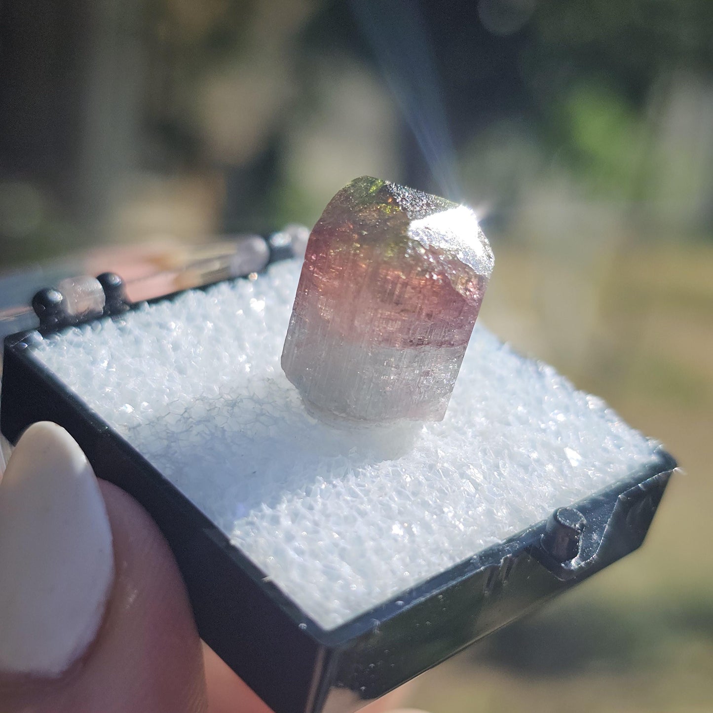 Colorful 3.9g Tourmaline Crystal from Aricanga, Brazil with Triangle Termination, Thumbnail Size in Perky Box