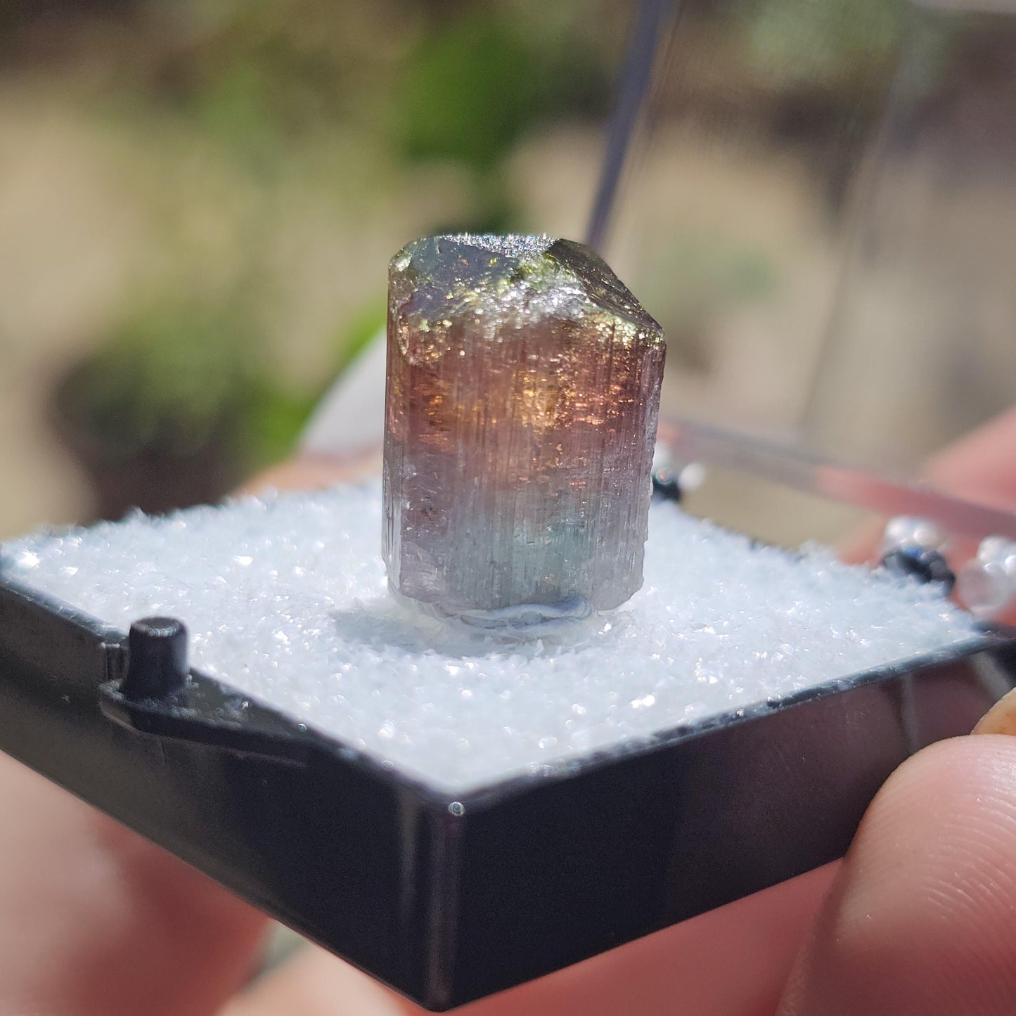Colorful 3.9g Tourmaline Crystal from Aricanga, Brazil with Triangle Termination, Thumbnail Size in Perky Box