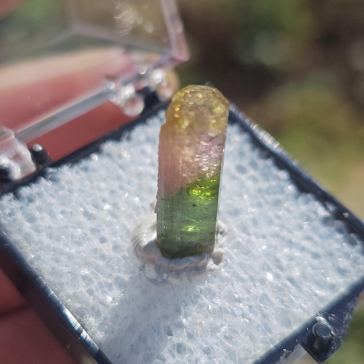 Cute Green Yellow and Pink 'Rainbow' Tourmaline Thumbnail Crystal Specimen ~Taquaral, Brazil