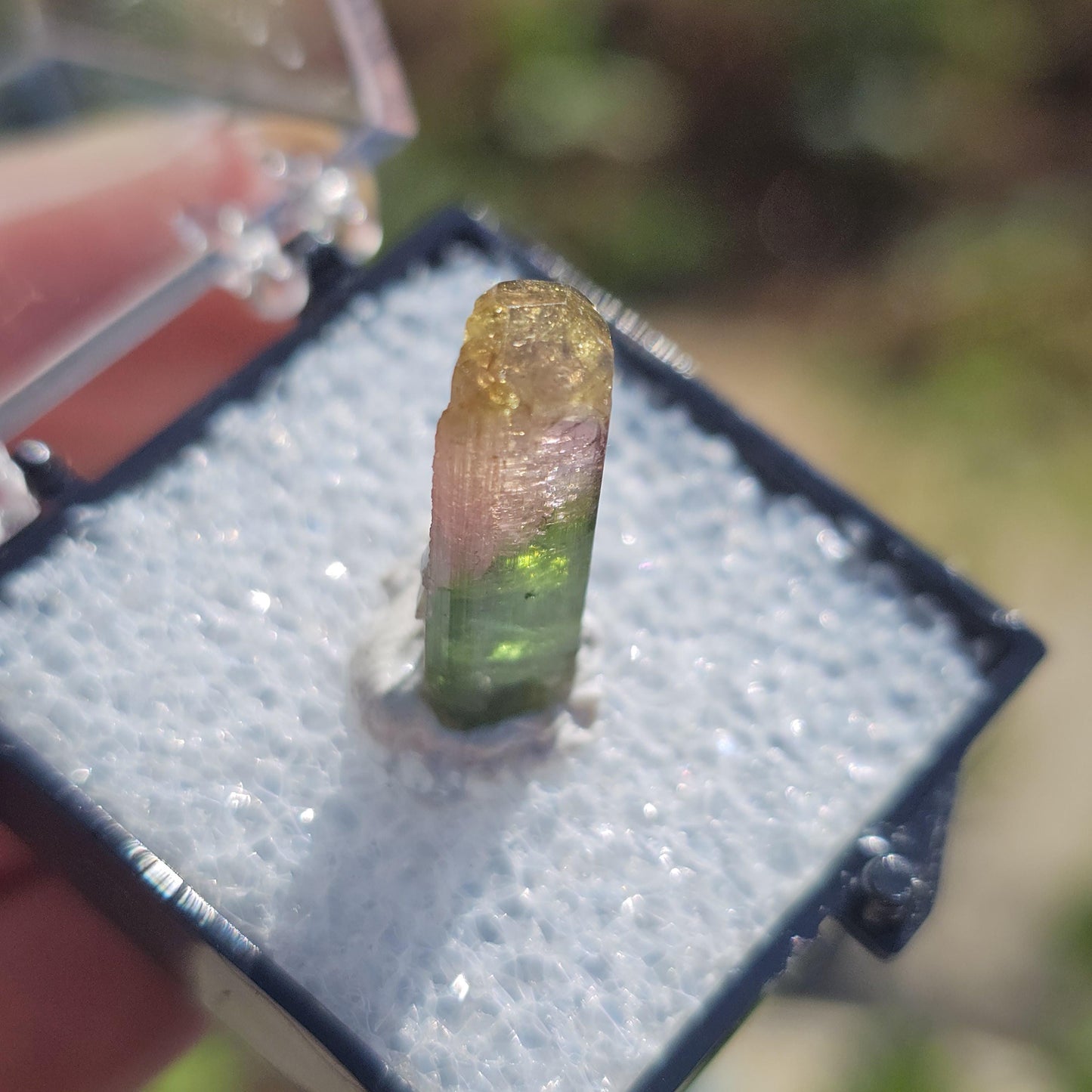 Cute Green Yellow and Pink 'Rainbow' Tourmaline Thumbnail Crystal Specimen ~Taquaral, Brazil