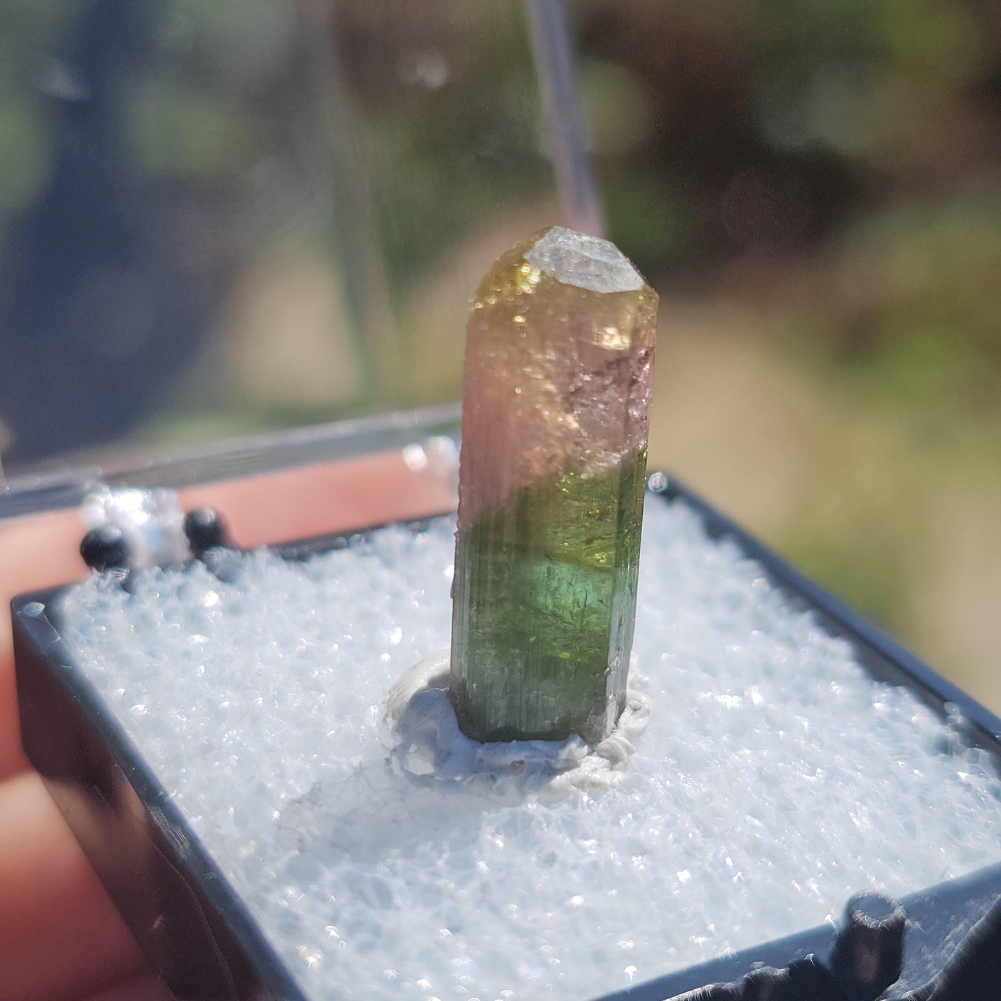 Cute Green Yellow and Pink 'Rainbow' Tourmaline Thumbnail Crystal Specimen ~Taquaral, Brazil