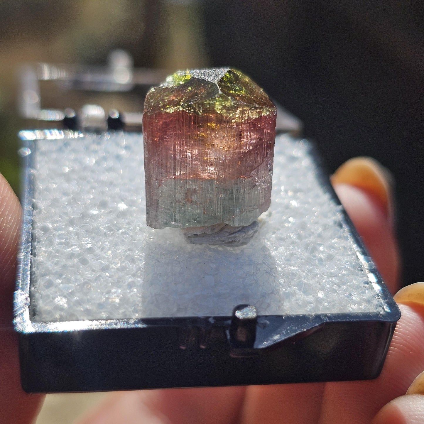 Colorful 3.9g Tourmaline Crystal from Aricanga, Brazil with Triangle Termination, Thumbnail Size in Perky Box