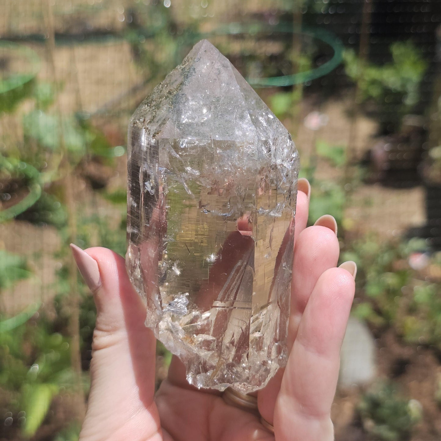 Clear Himalayan Quartz Point with Chlorite ~ New Find High Quality Large Single Point