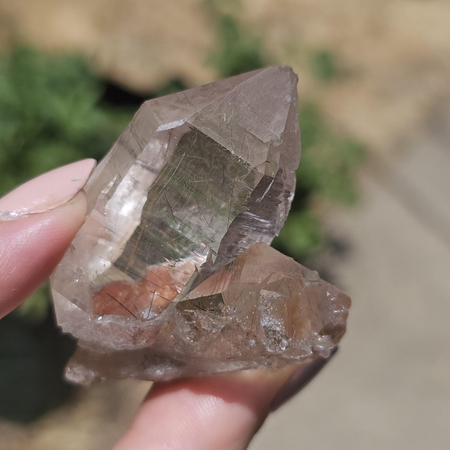 Clear Himalayan Quartz Point with Rutile ~ New Find High Quality