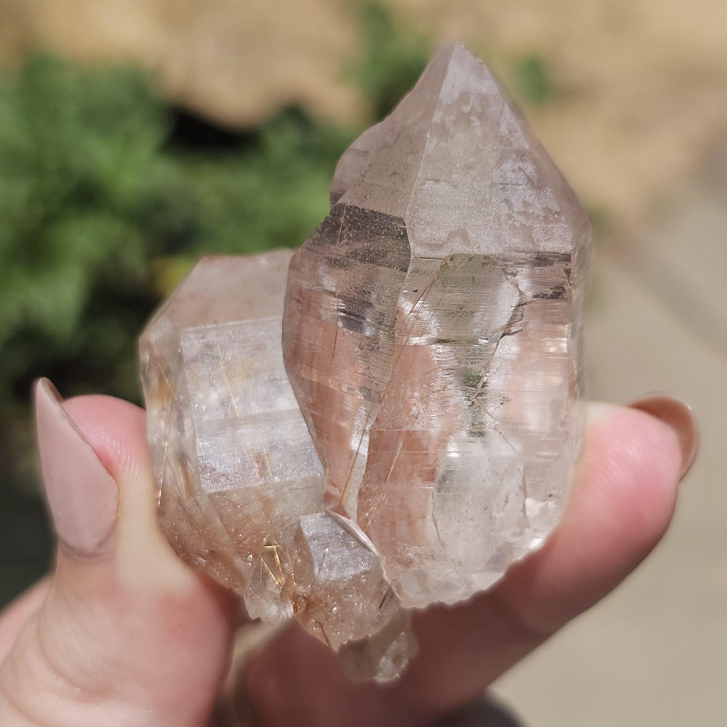 Clear Himalayan Quartz Point with Rutile ~ New Find High Quality