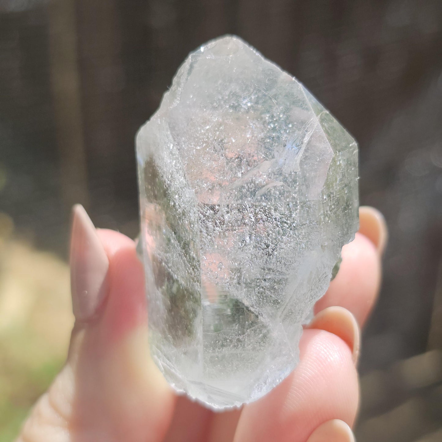 Clear Himalayan Quartz Point with Chlorite ~ New Find High Quality Crystal Specimen