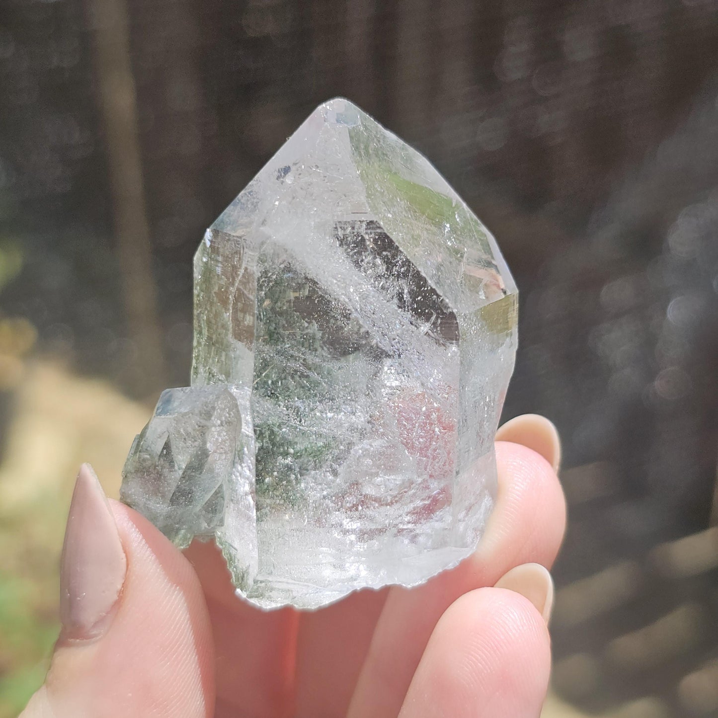 Clear Himalayan Quartz Point with Chlorite ~ New Find High Quality Crystal Specimen