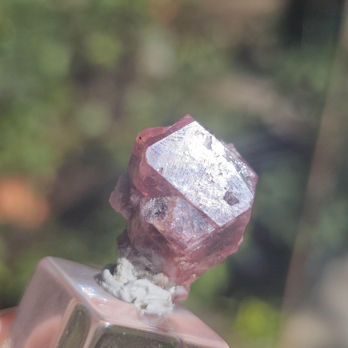 Raspberry Garnet from Sierra de Cruces, Mexico, Rare Dark Purple Pink Grossular Garnet Floater Specimen