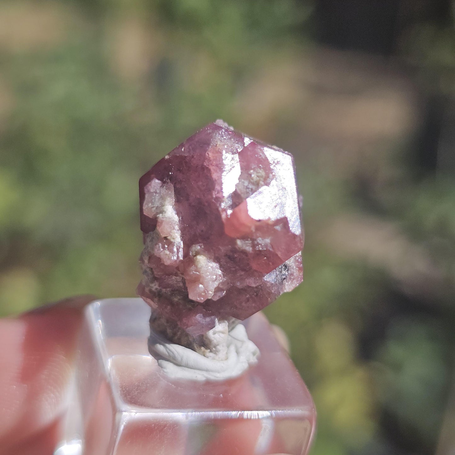 Raspberry Garnet from Sierra de Cruces, Mexico, Rare Dark Purple Pink Grossular Garnet Floater Specimen