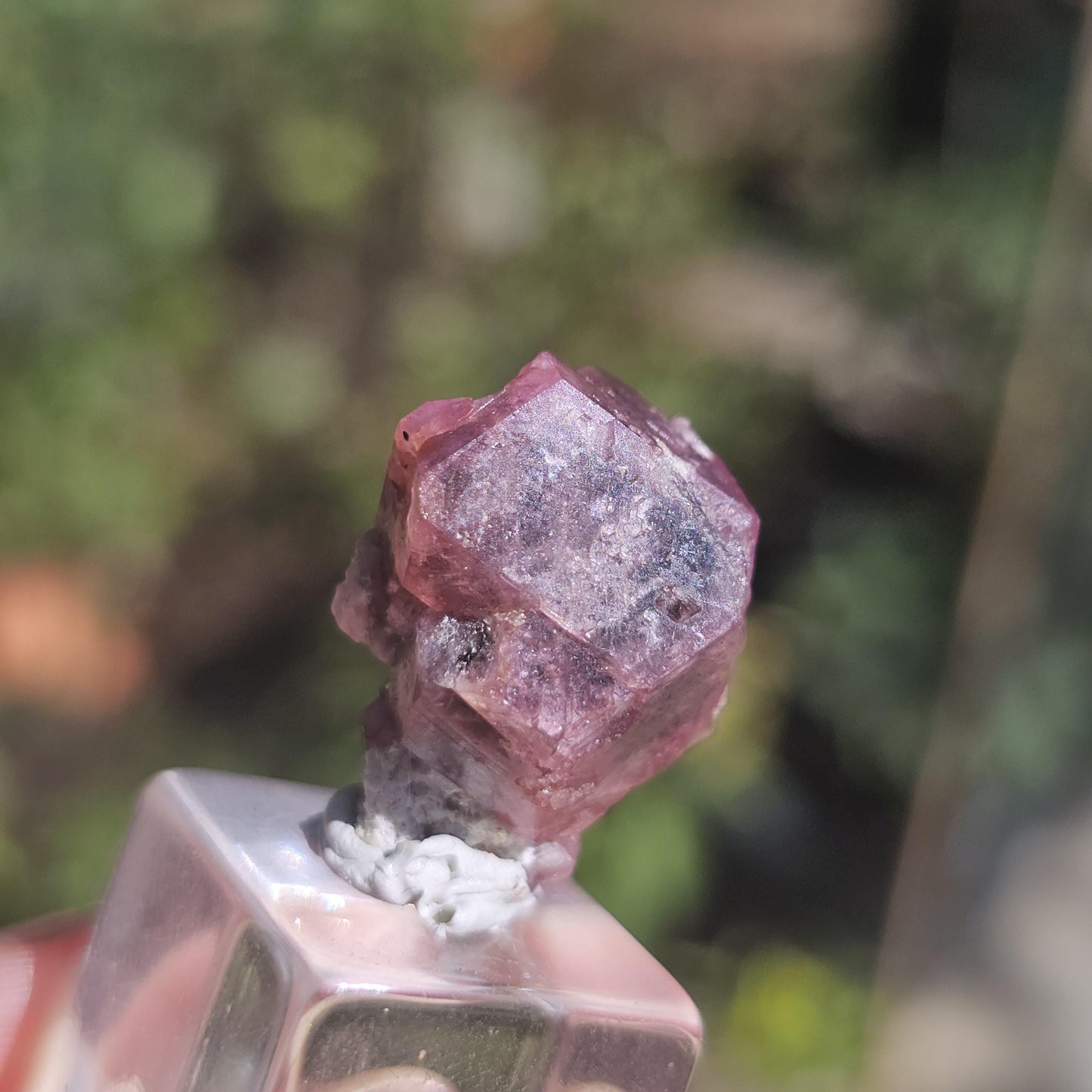 Raspberry Garnet from Sierra de Cruces, Mexico, Rare Dark Purple Pink Grossular Garnet Floater Specimen