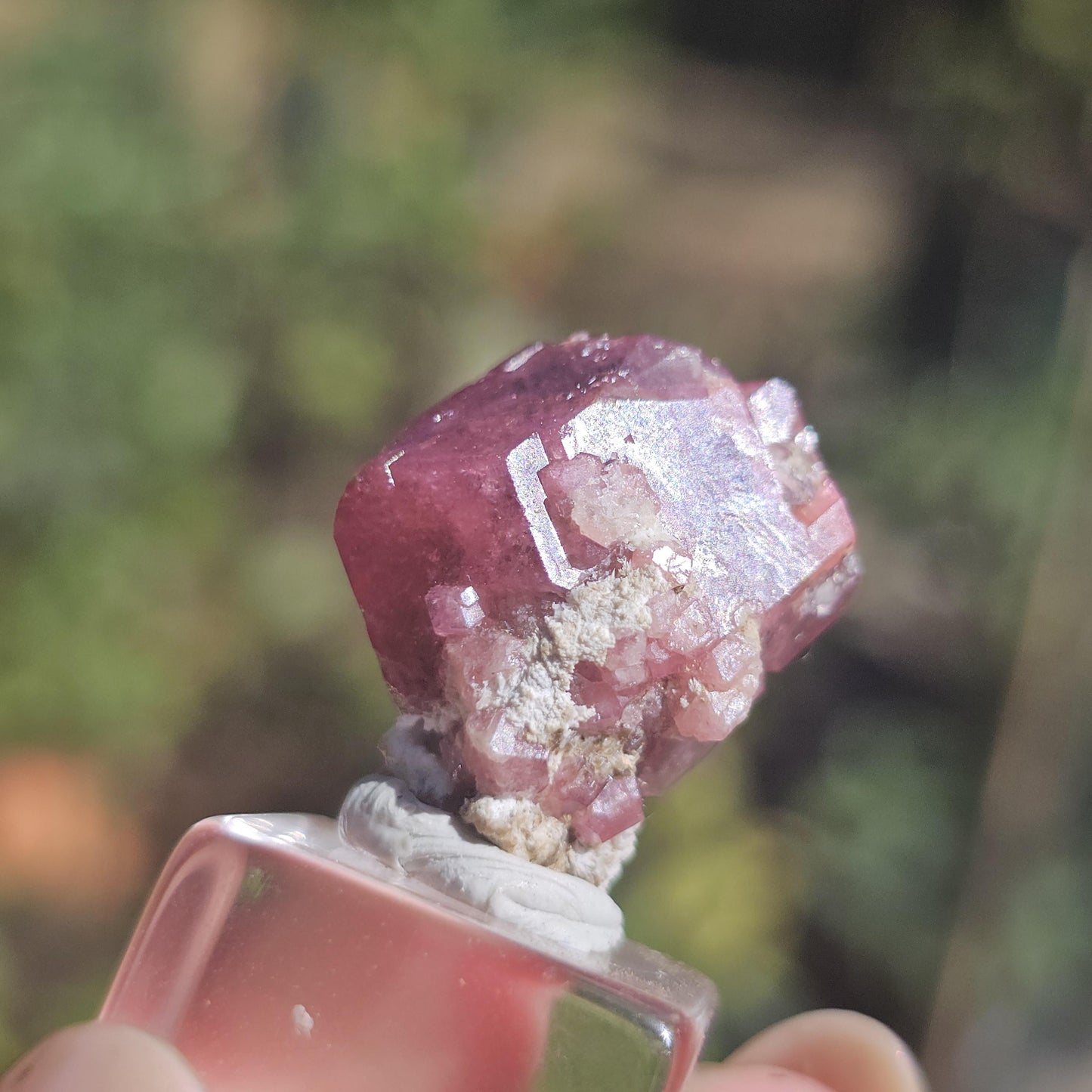Raspberry Garnet from Sierra de Cruces, Mexico, Rare Dark Purple Pink Grossular Garnet Floater Specimen