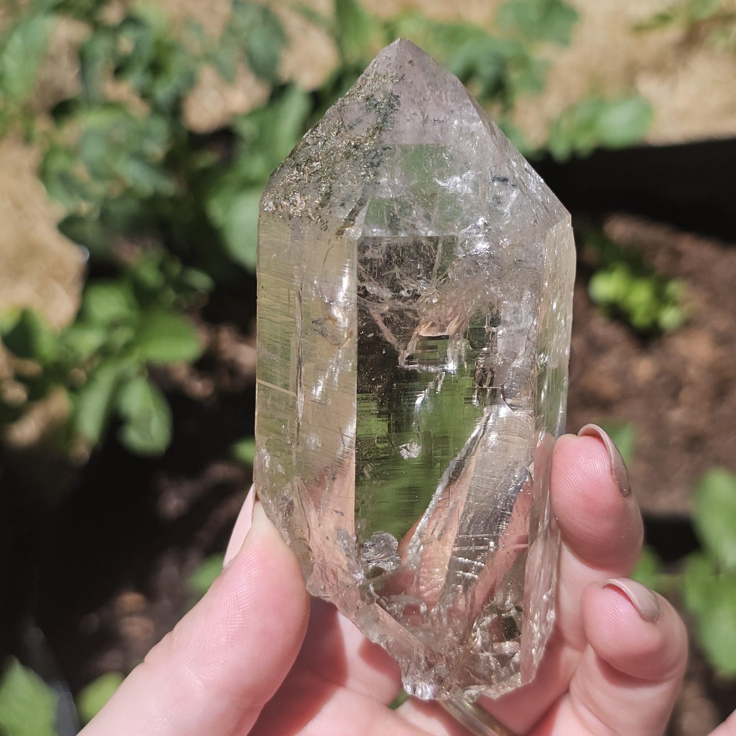 Clear Himalayan Quartz Point with Chlorite ~ New Find High Quality Large Single Point