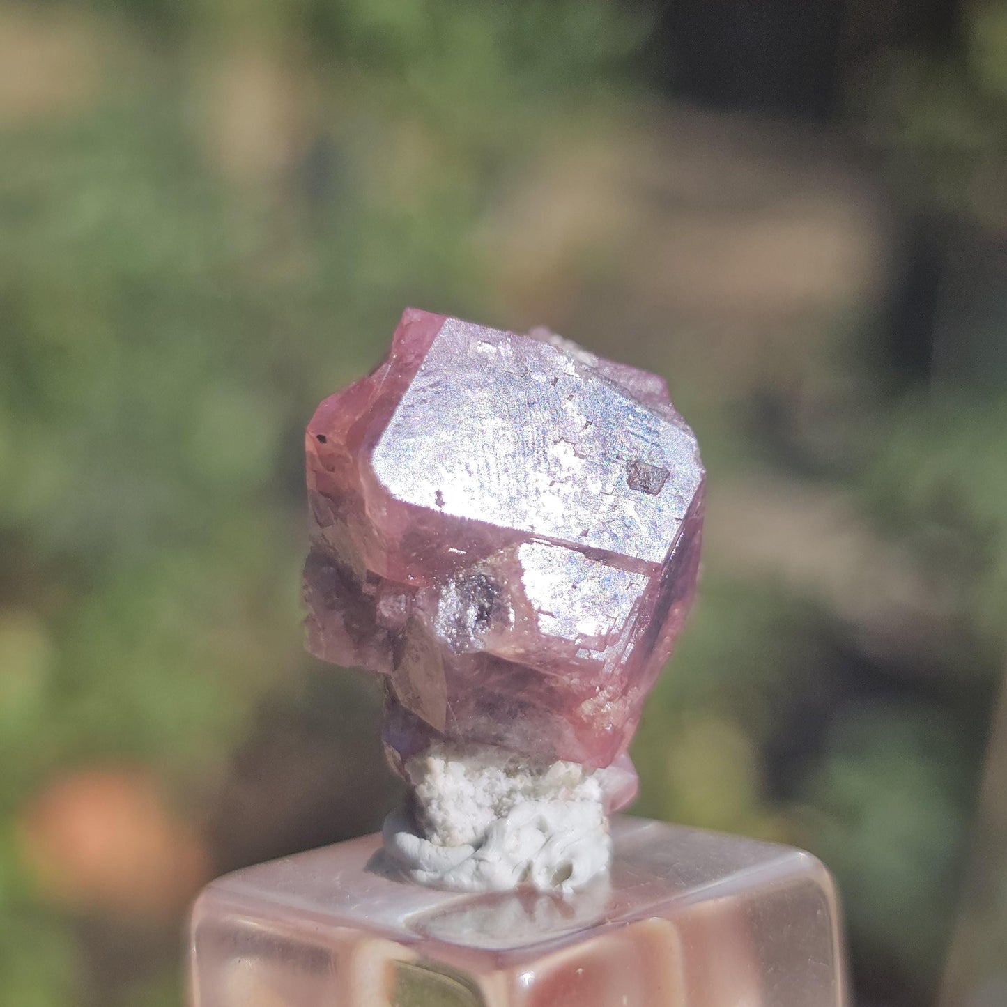 Raspberry Garnet from Sierra de Cruces, Mexico, Rare Dark Purple Pink Grossular Garnet Floater Specimen