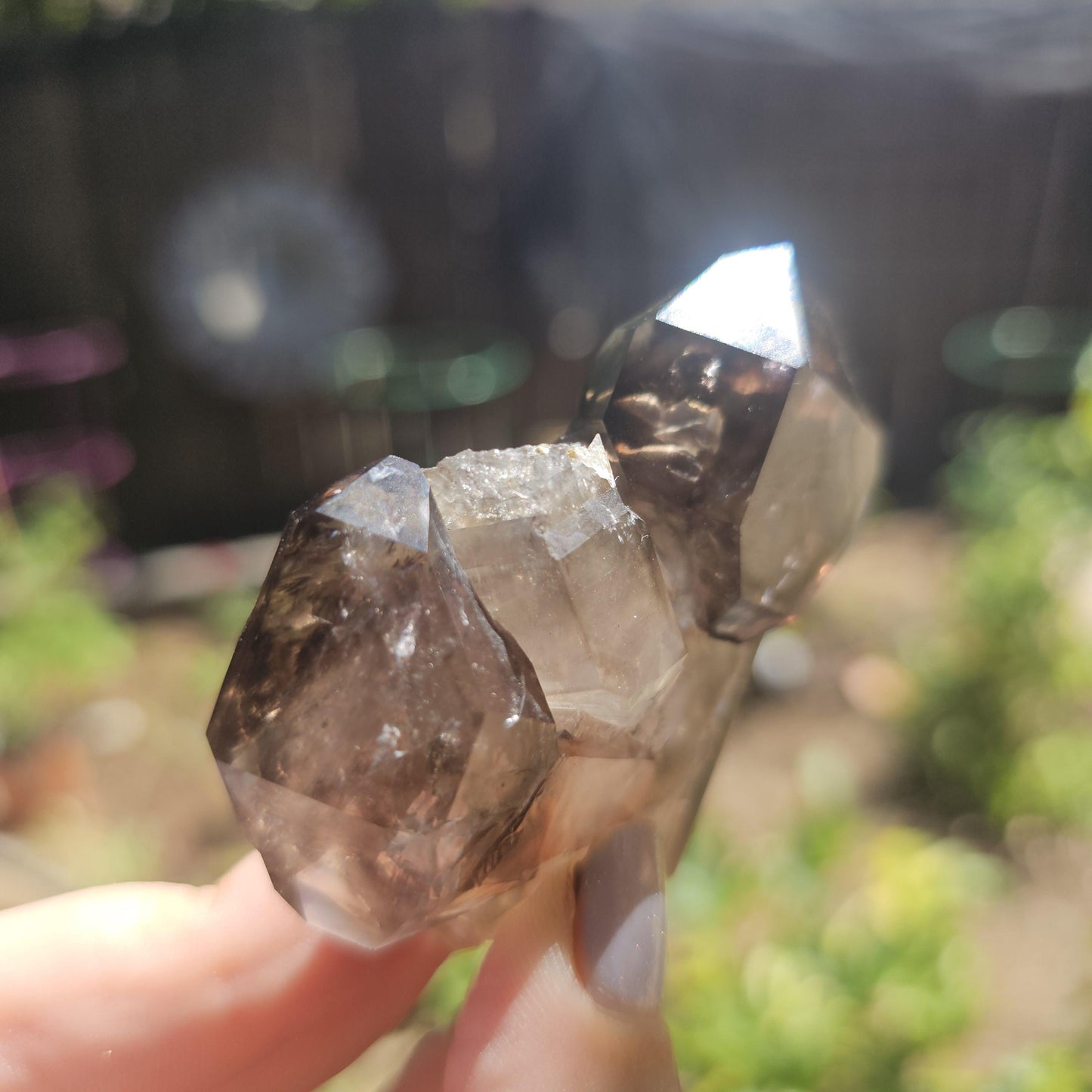 California Smokey Quartz Scepter Specimen: Double Terminated Crystal