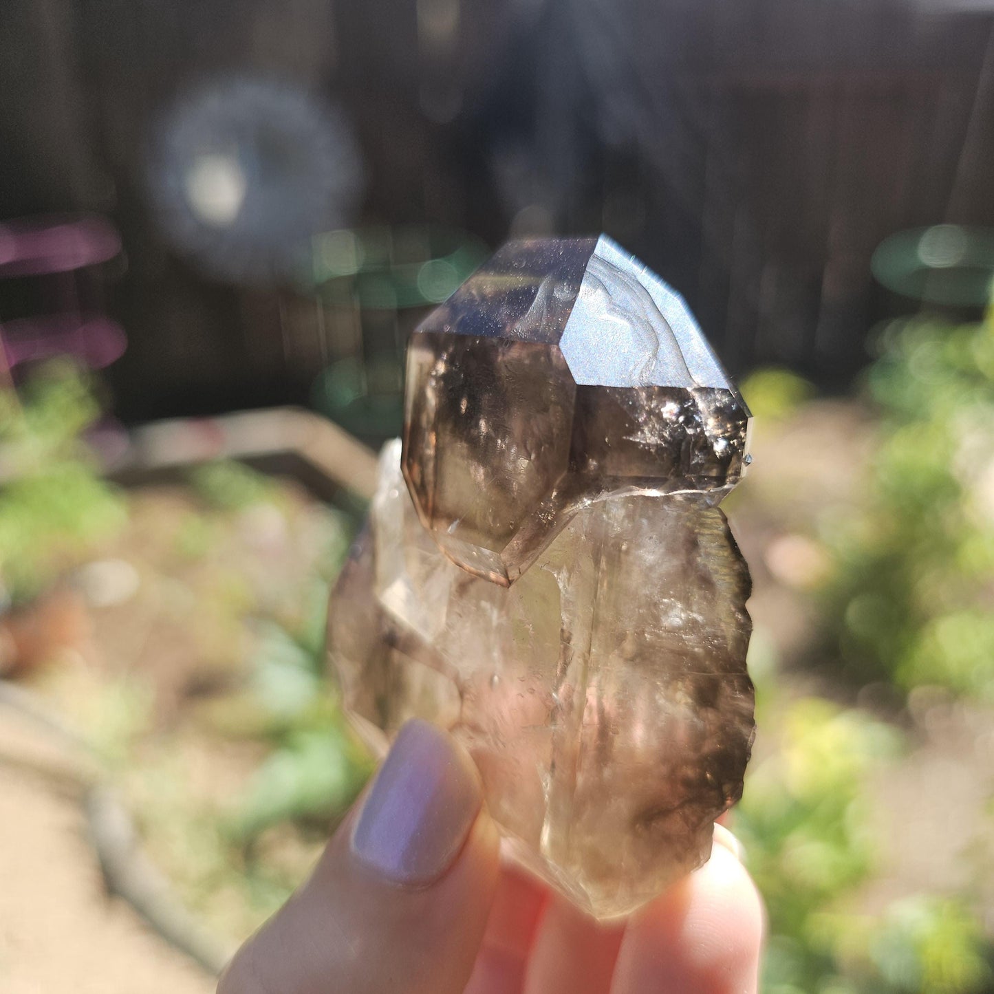 California Smokey Quartz Scepter Specimen: Double Terminated Crystal