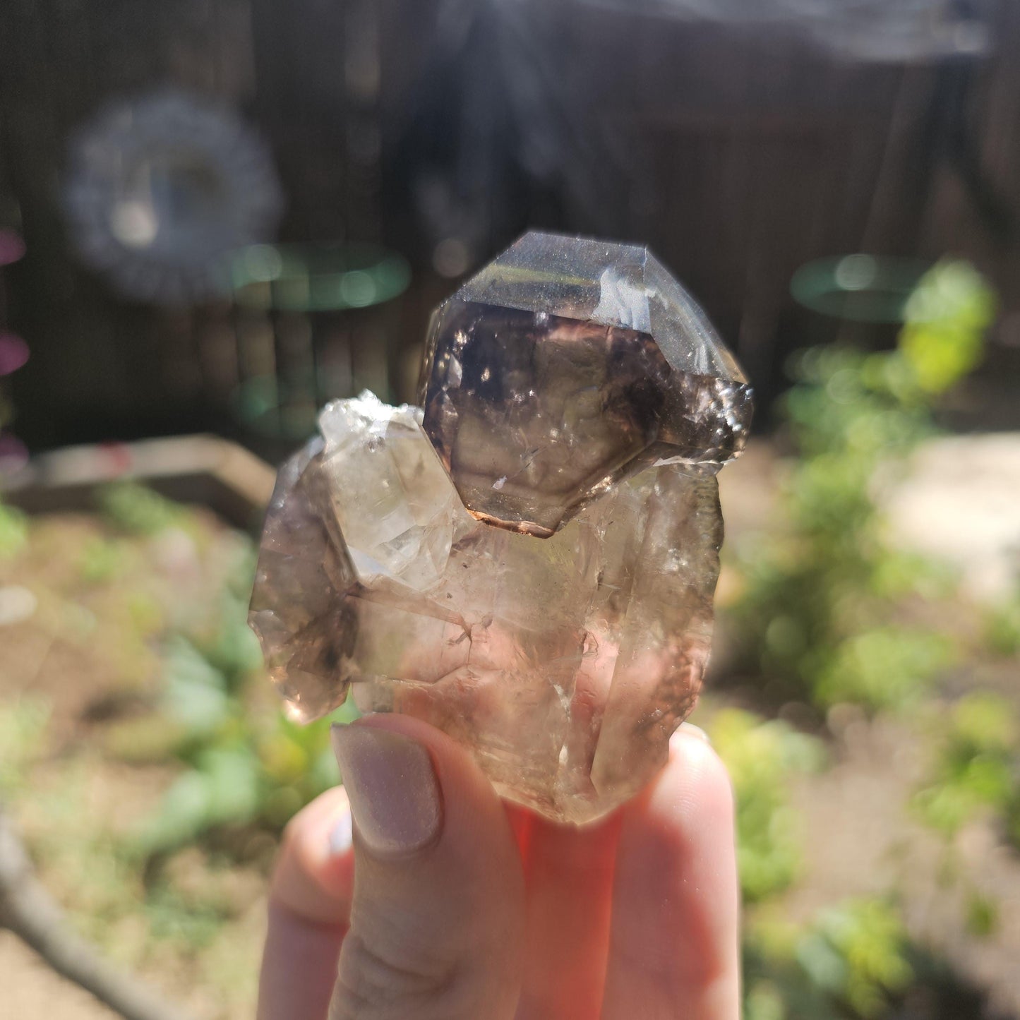 California Smokey Quartz Scepter Specimen: Double Terminated Crystal