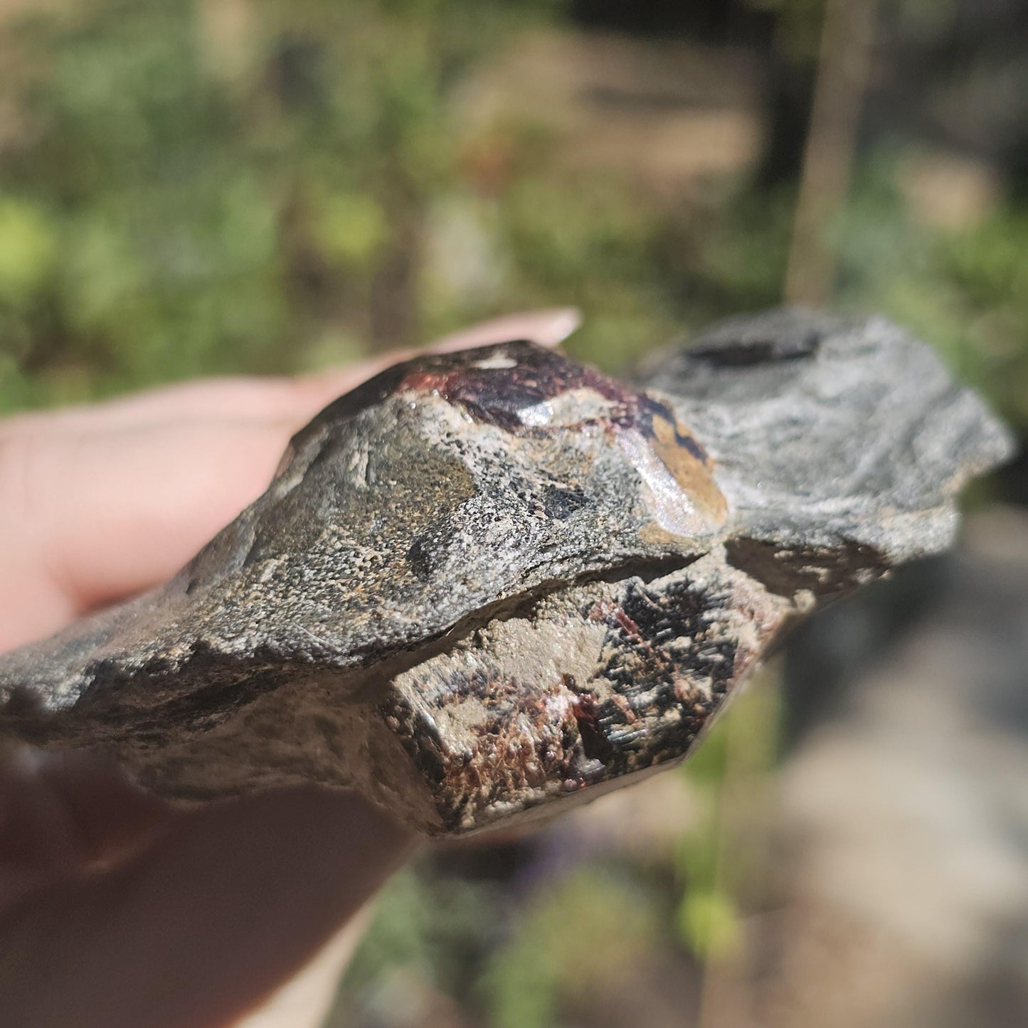 Huge Almandine Garnet Crystal in and Through Sparkly Grey Mica Schist | Rare One of a Kind Collector Mineral Specimen from Wrangell Alaska