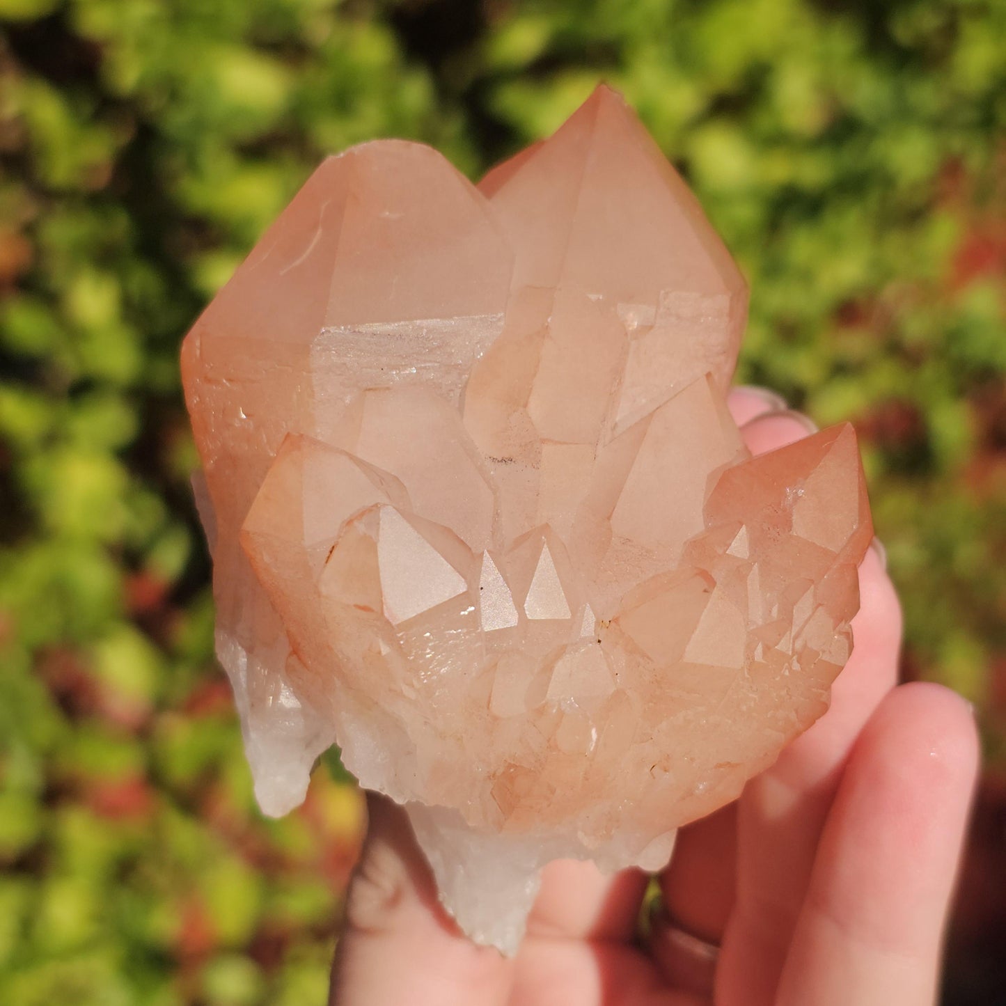 Chunky Peach Pink Elestial Quartz Specimen: Scepter, Multi Terminated, Raw Rough Quartz