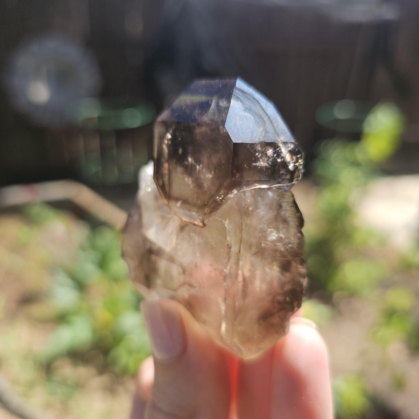 California Smokey Quartz Scepter Specimen: Double Terminated Crystal