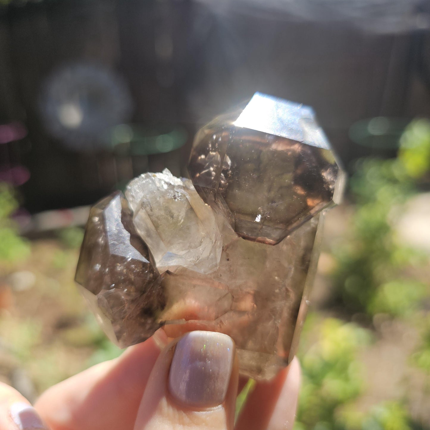 California Smokey Quartz Scepter Specimen: Double Terminated Crystal