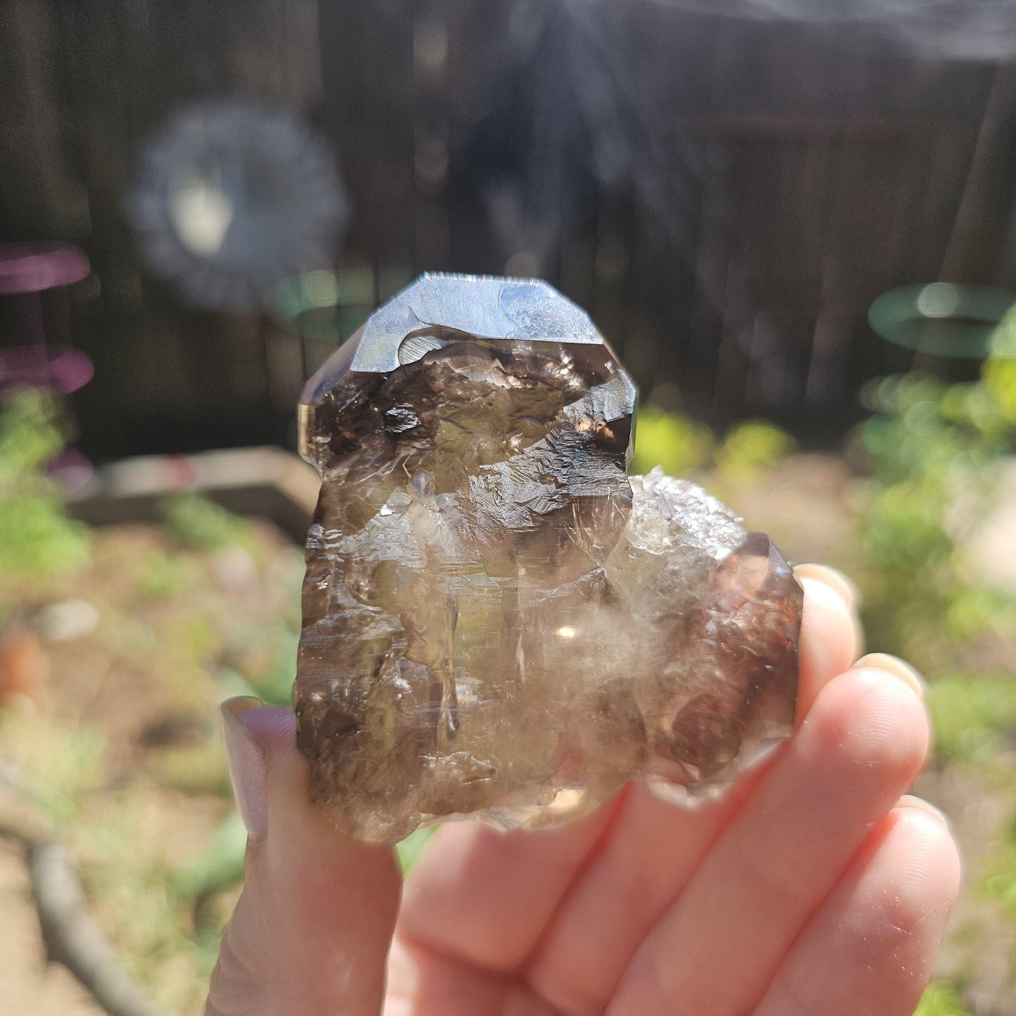 California Smokey Quartz Scepter Specimen: Double Terminated Crystal