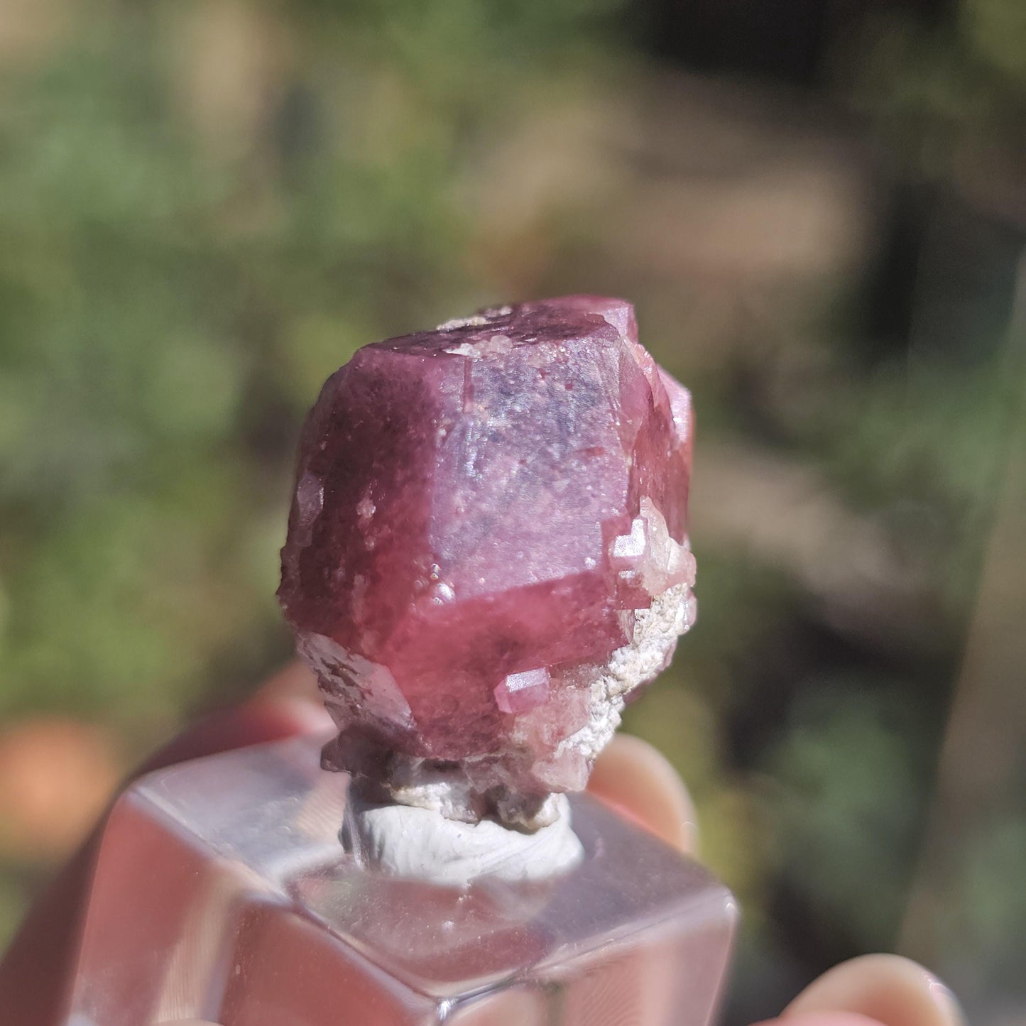 Raspberry Garnet from Sierra de Cruces, Mexico, Rare Dark Purple Pink Grossular Garnet Floater Specimen