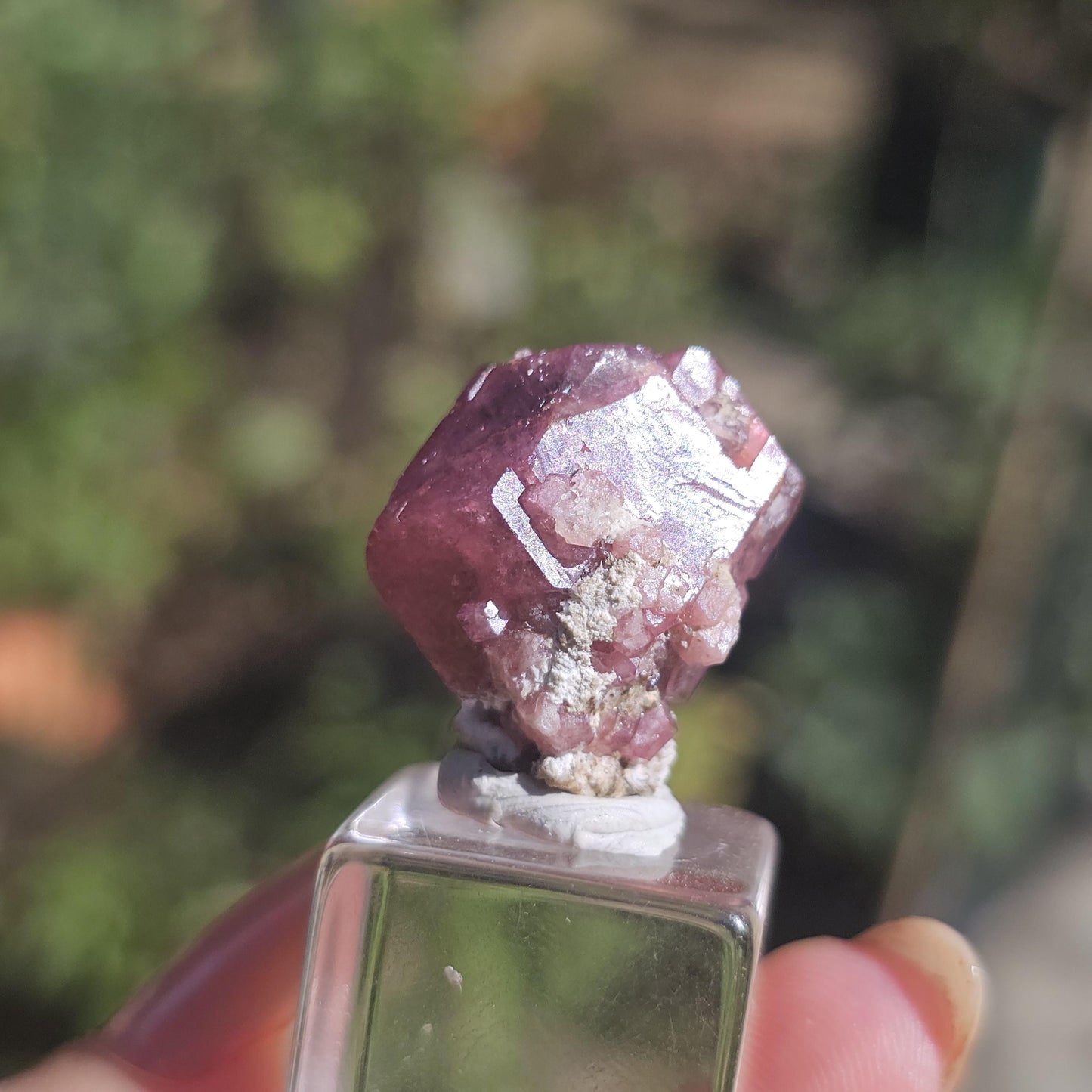 Raspberry Garnet from Sierra de Cruces, Mexico, Rare Dark Purple Pink Grossular Garnet Floater Specimen