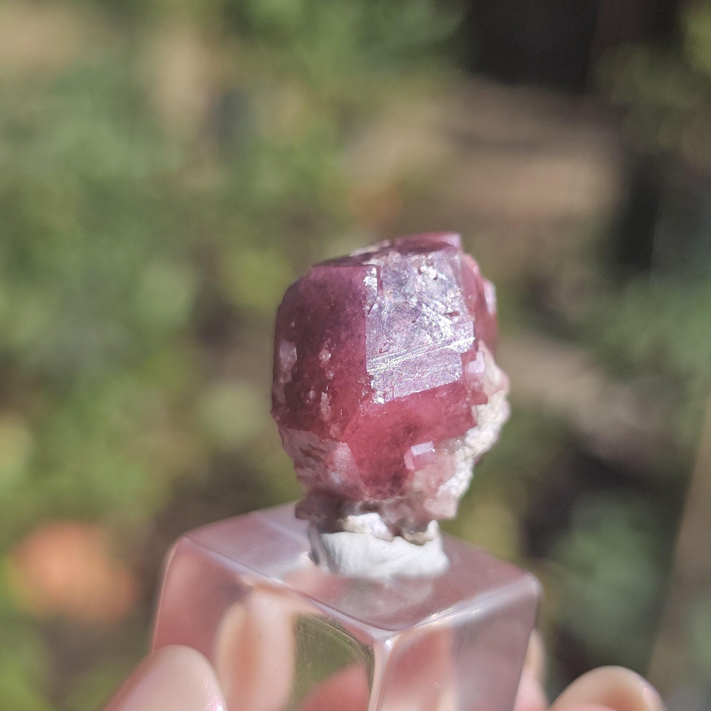 Raspberry Garnet from Sierra de Cruces, Mexico, Rare Dark Purple Pink Grossular Garnet Floater Specimen