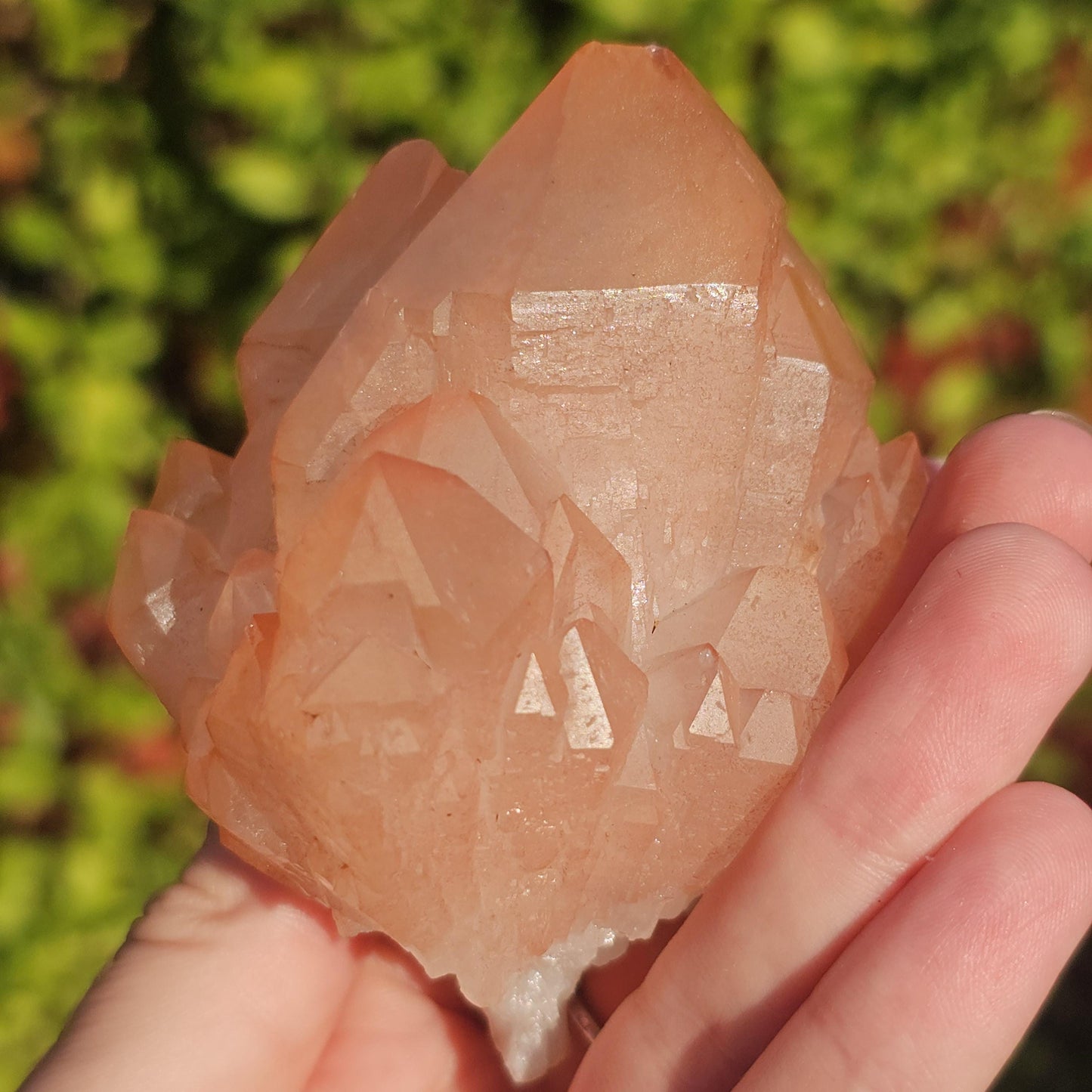 Chunky Peach Pink Elestial Quartz Specimen: Scepter, Multi Terminated, Raw Rough Quartz