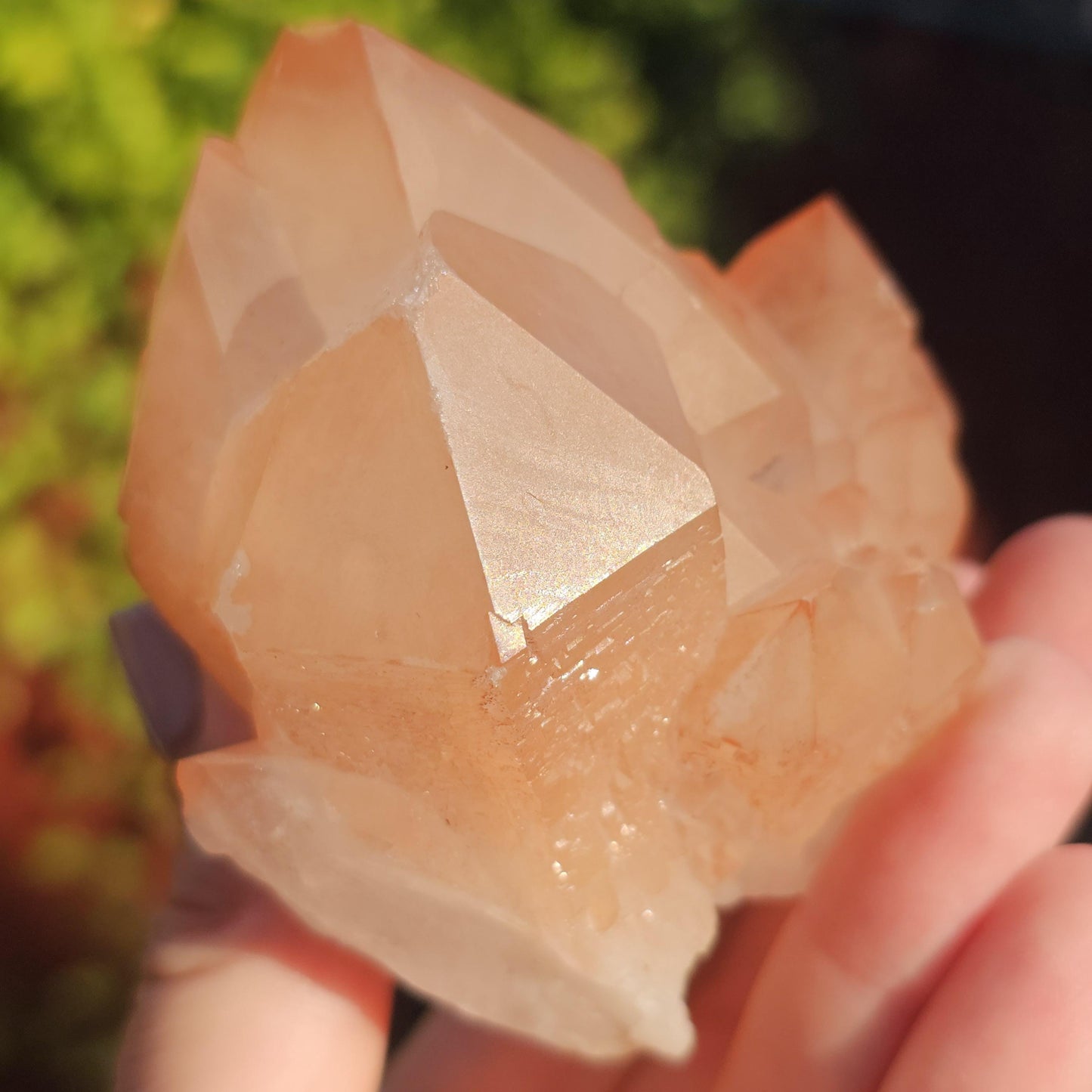 Chunky Peach Pink Elestial Quartz Specimen: Scepter, Multi Terminated, Raw Rough Quartz