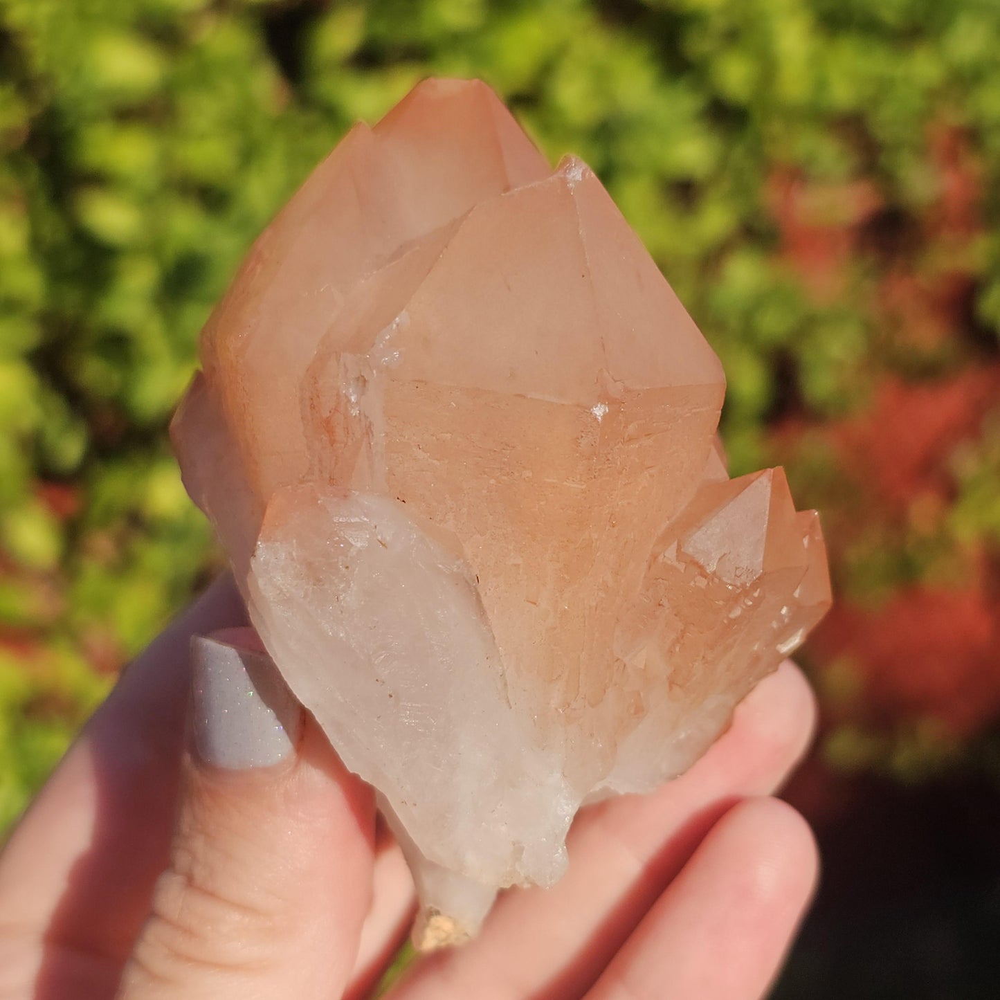 Chunky Peach Pink Elestial Quartz Specimen: Scepter, Multi Terminated, Raw Rough Quartz