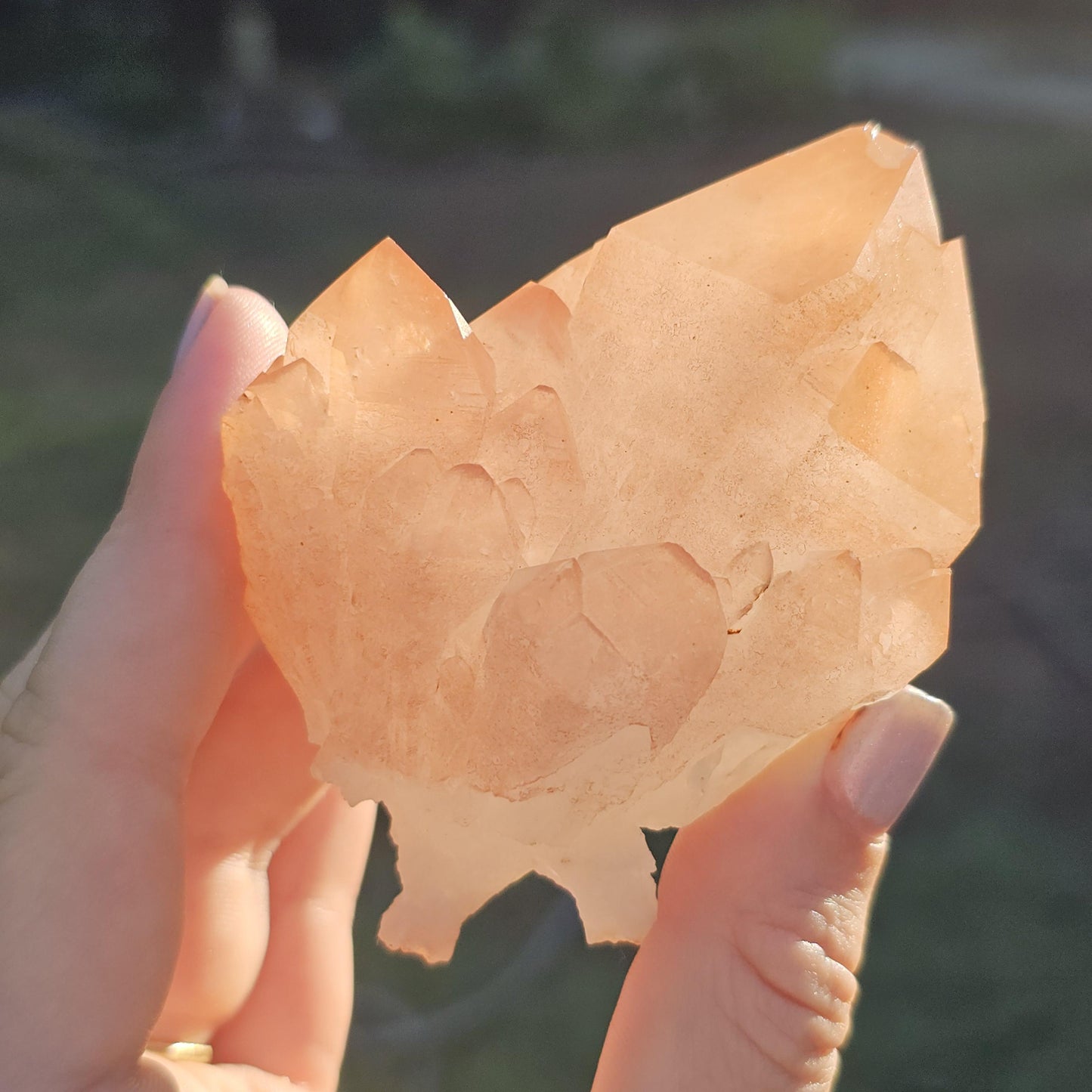 Chunky Peach Pink Elestial Quartz Specimen: Scepter, Multi Terminated, Raw Rough Quartz