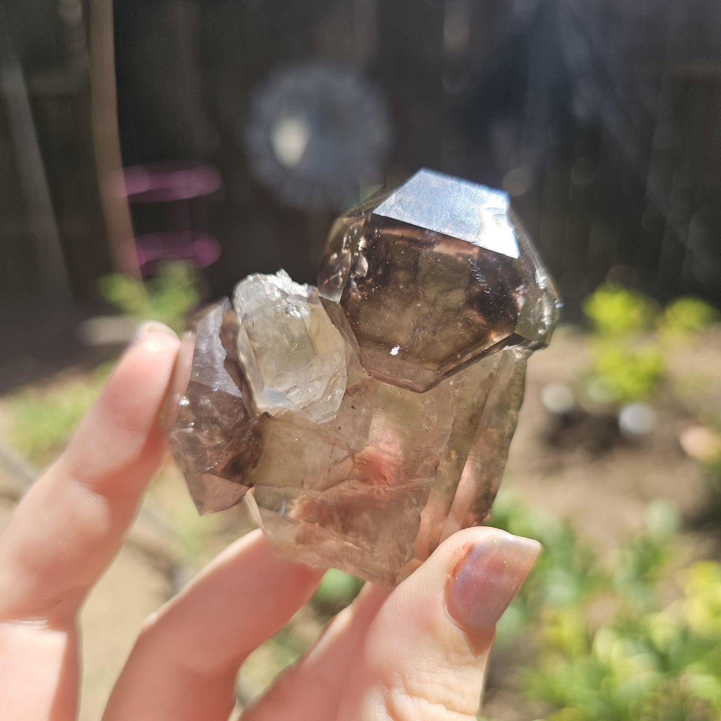 California Smokey Quartz Scepter Specimen: Double Terminated Crystal