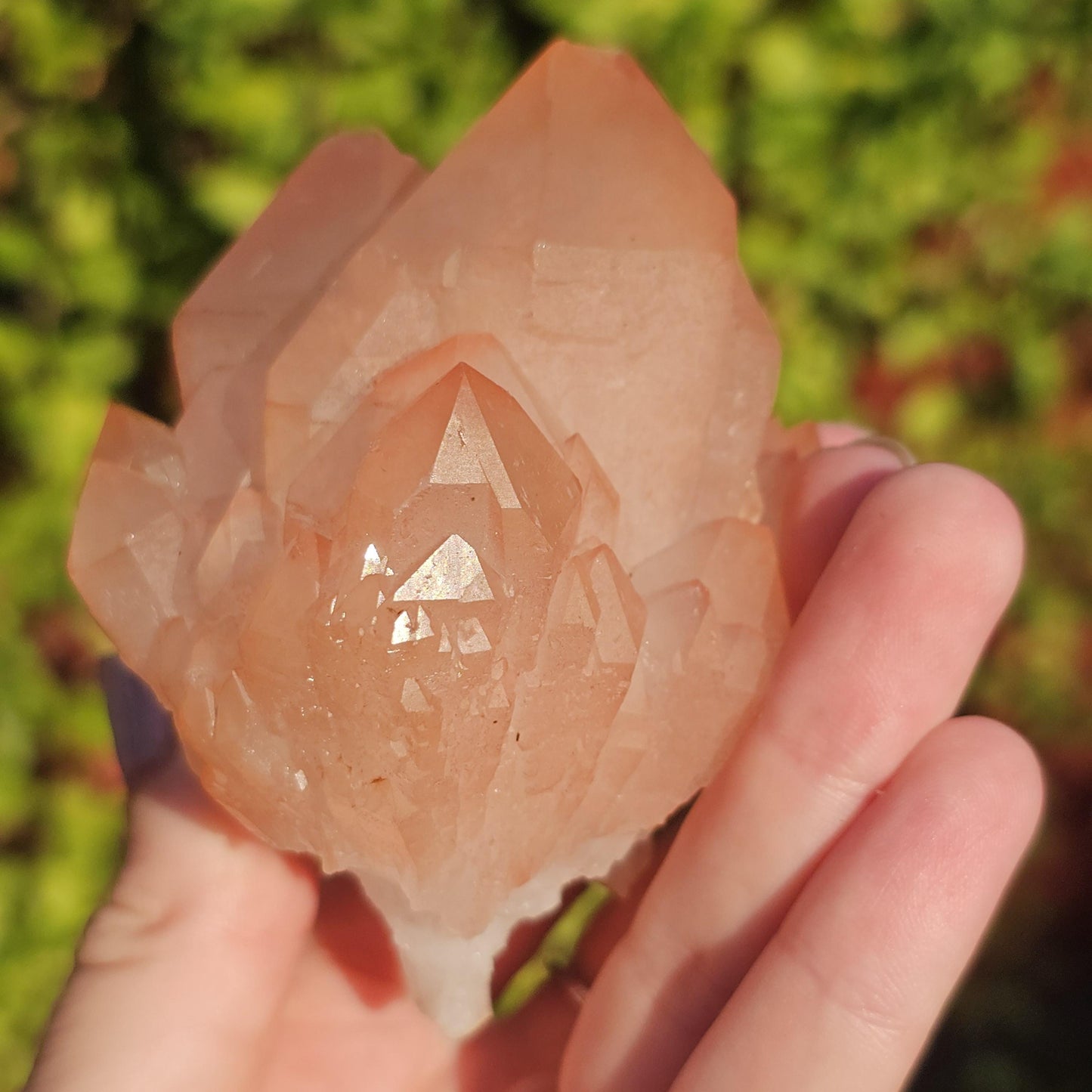 Chunky Peach Pink Elestial Quartz Specimen: Scepter, Multi Terminated, Raw Rough Quartz