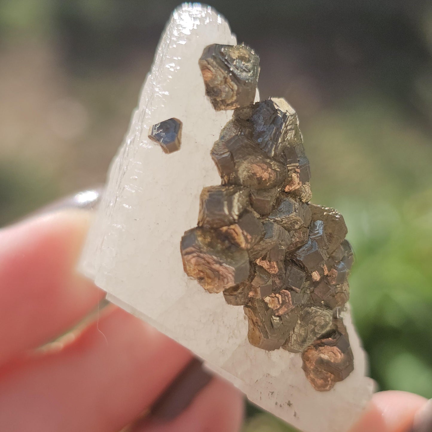 Calcite with Pyrite Crystals from Mexico, Single Terminated Sugary White Calcite with Clusters of Pyrite