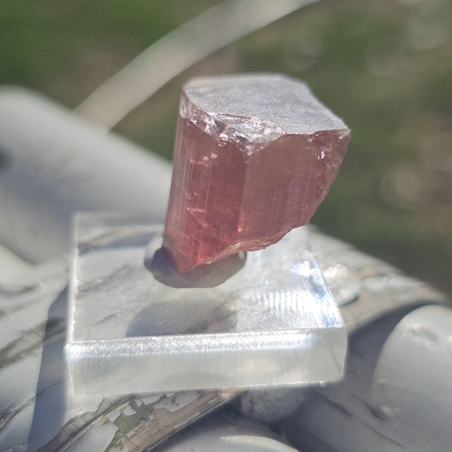Pink Rubellite Tourmaline Crystal, Himalaya Mine, Oceanview San Diego