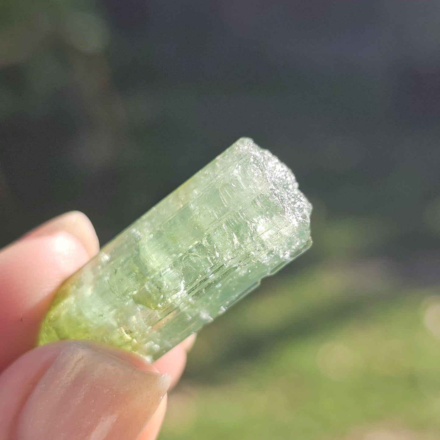 Fairy Castle Elbaite ~ Self-Standing DRC Teal Blue w Green Cap, Rare Raw Tourmaline Collector Specimen w Pointed Termination