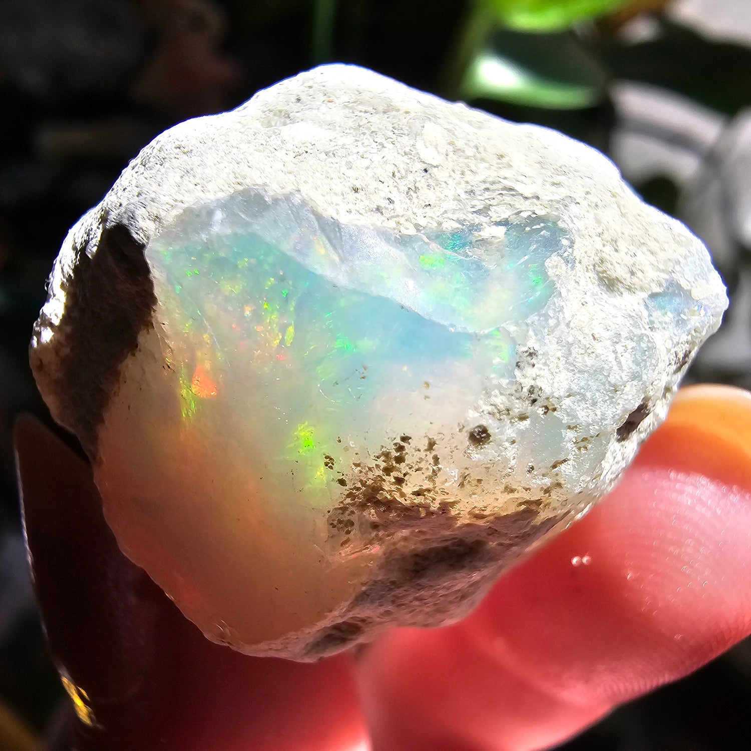 Opals