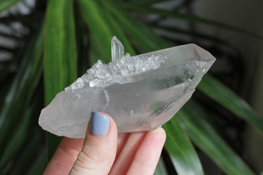 Twin Phantom Quartz 200g Rare Crystal Cluster with Light Grey Silver Phantom Inclusions