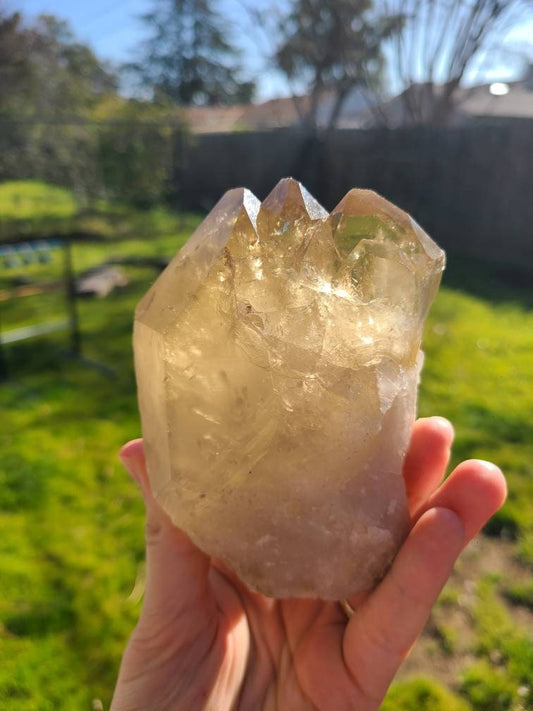 Large Glowing Raw Citrine | Natural Triplet/Cluster <100