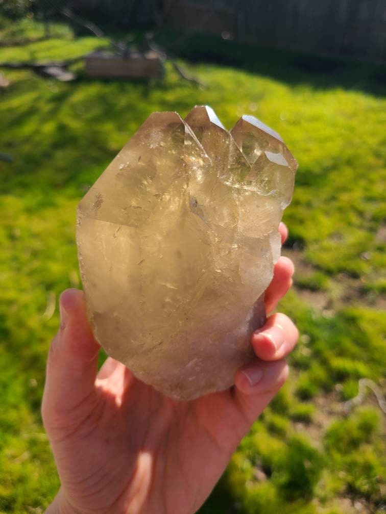 Large Glowing Raw Citrine | Natural Triplet/Cluster <100