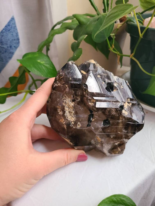 Incredible Elestial Smokey Quartz XL Super 7 Crystal w Black Tourmaline | Halloween Xmas Gift, Collector Rare Raw Stone Specimen from Brazil