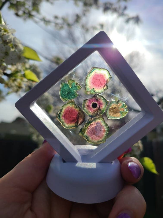 43cts Watermelon Tourmaline Slice Set from Madagascar | Polished Natural Liddicoatite Gem | Multicolor, Bicolor, and Melon Gemstone lot