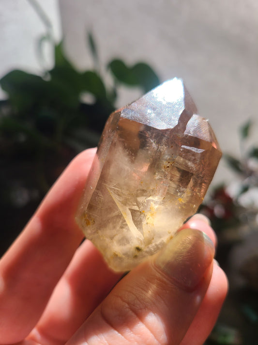Raw Citrine, Hand Collected in California, Hallelujah Junction, Near Tahoe, Ethical Directly Sourced, High Grade, Local Quartz Gem