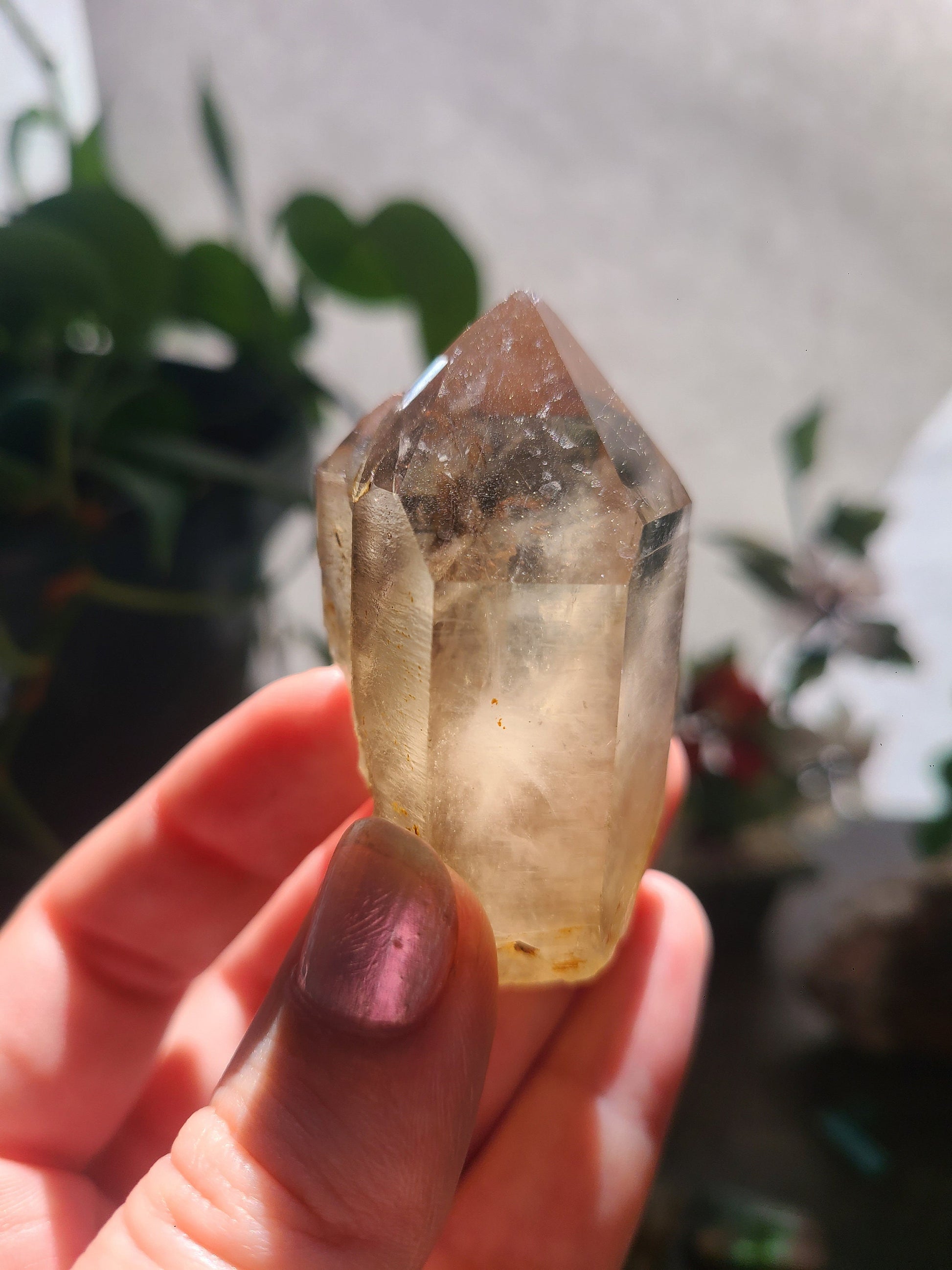Raw Citrine, Hand Collected in California, Hallelujah Junction, Near Tahoe, Ethical Directly Sourced, High Grade, Local Quartz Gem