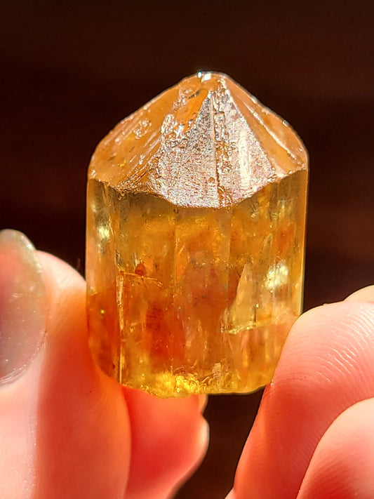 Golden Apatite from Durango, Mexico | Rare Raw High End Collector Gemstone | North American Fine Rough Mineral w Rainbows and Hematite