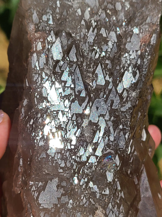 AAA Elestial Smoky Champagne 'Jacare' Quartz Crystal Castle | XL Natural Point, Many Triangle Recordkeepers, Rare OOAK Collector Piece