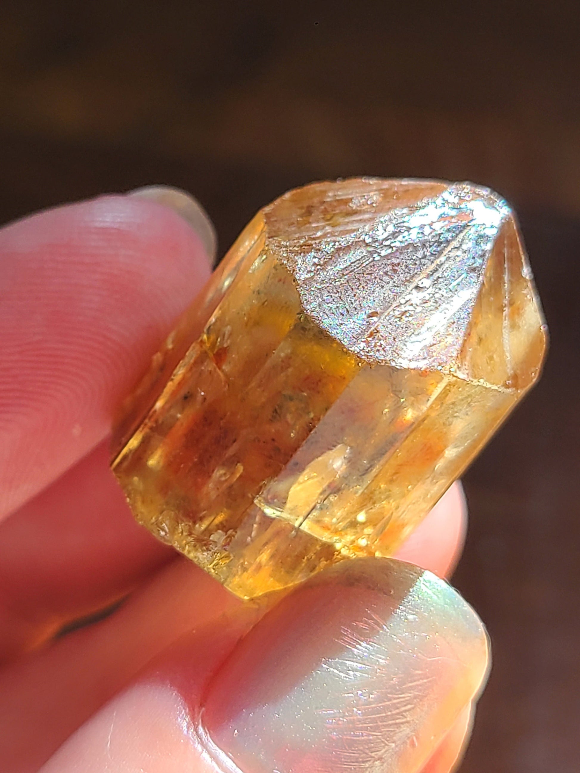 Golden Apatite from Durango, Mexico | Rare Raw High End Collector Gemstone | North American Fine Rough Mineral w Rainbows and Hematite