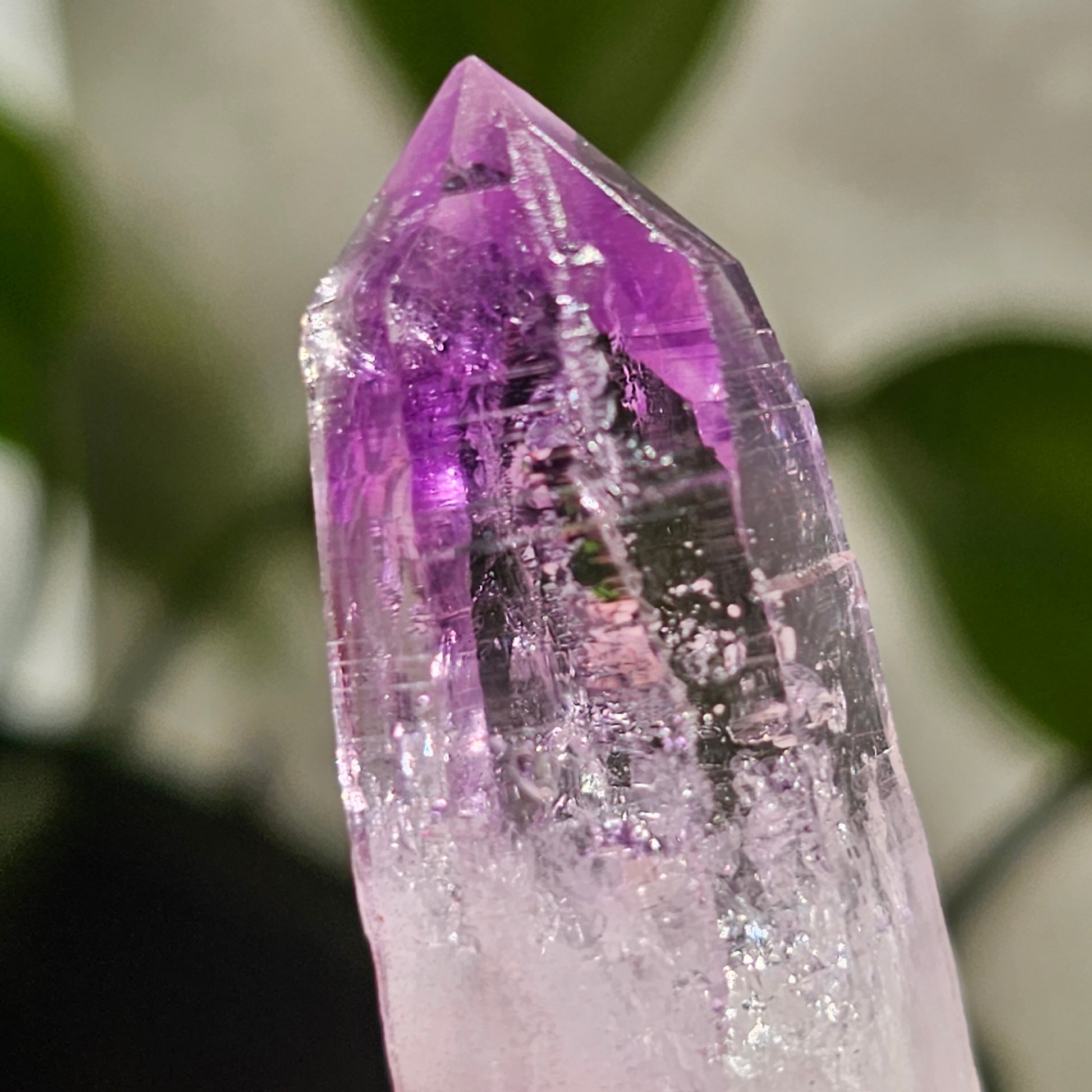 AAA Vera Cruz Amethyst Crystal, Rare Raw High Grade Phantom Specimen, from Mexico | 13.1g Terminated Saturated Piece, February Gift